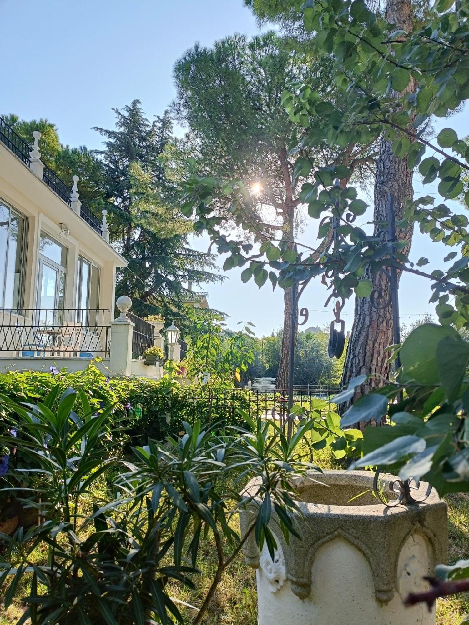 B&B Retro'Conero Castelfidardo Eksteriør billede